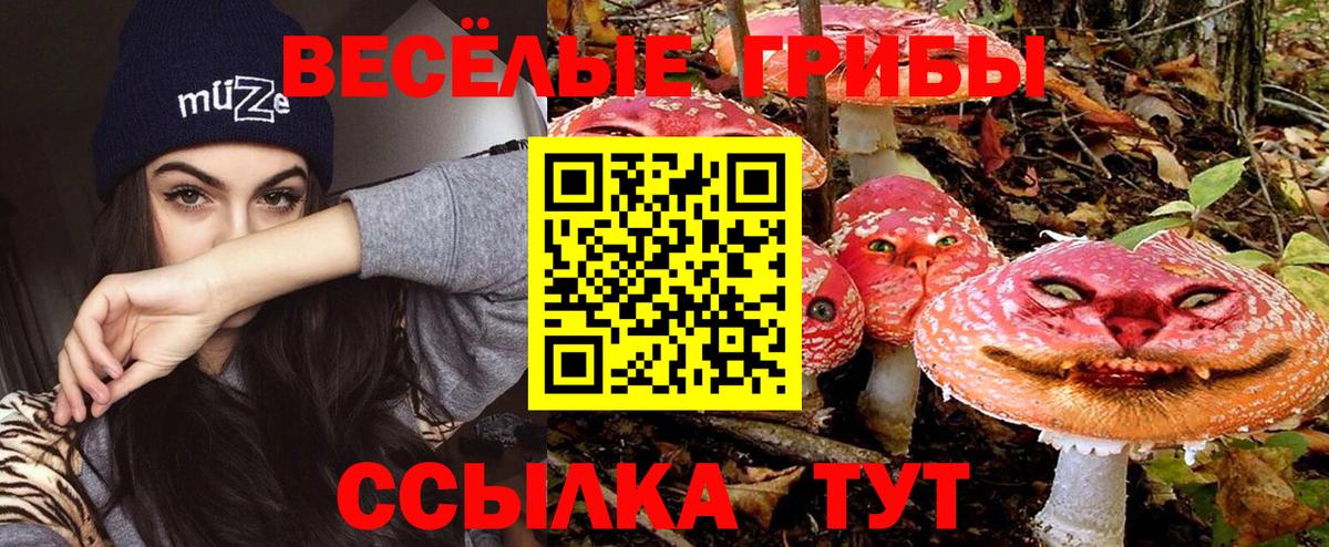 купить наркотики цена  Псилоцибиновые грибы Psilocybe  Рассказово  Вход с VPN  Псилоцибиновые грибы Psilocybine cubensis 